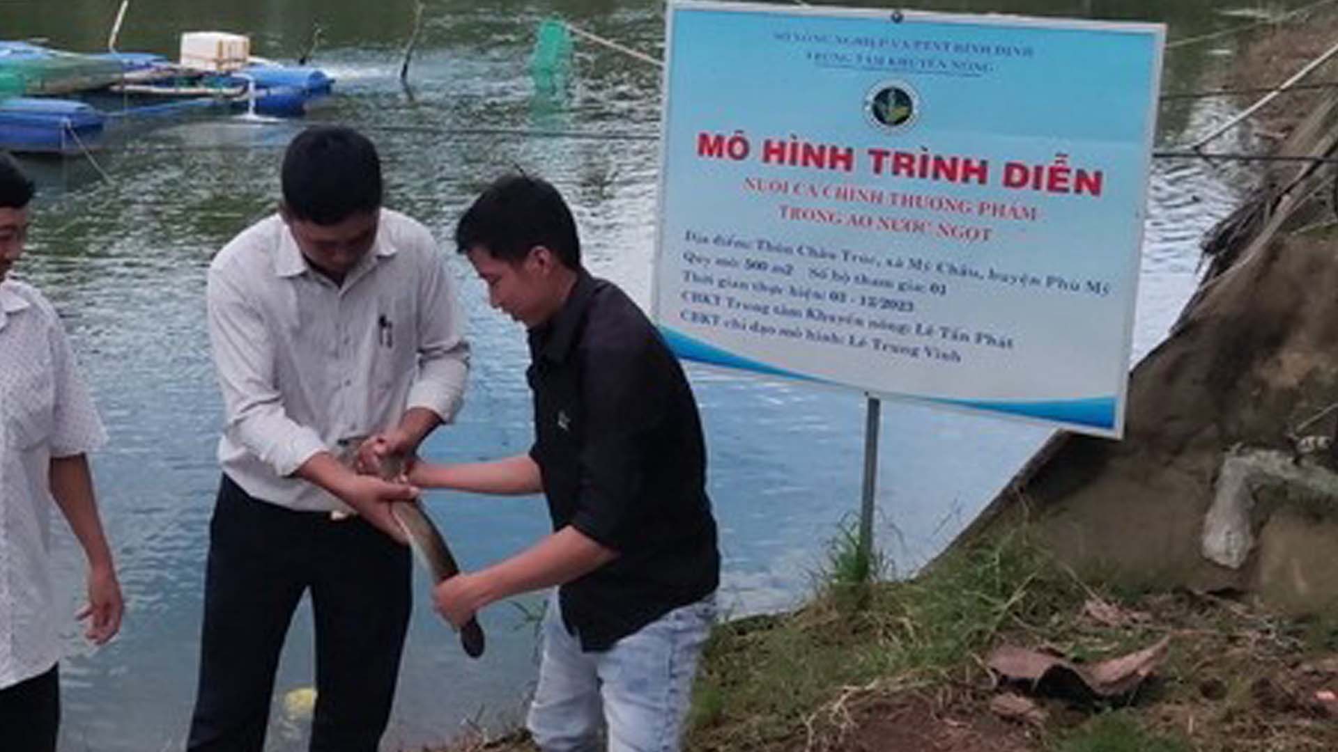 Bình Định: Phát triển nghề nuôi cá chình thương phẩm trên đầm Trà Ổ