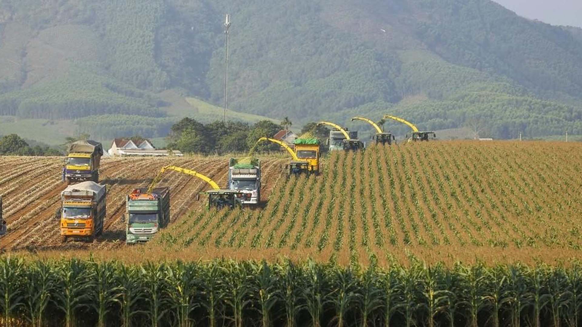 Nghệ An: Phát triển nông nghiệp tuần hoàn hướng đi tất yếu của hệ thống trang trại