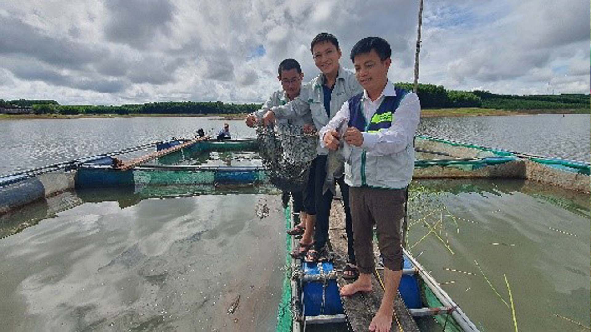 Quảng Trị: Thành công với mô hình nuôi cá lăng chấm