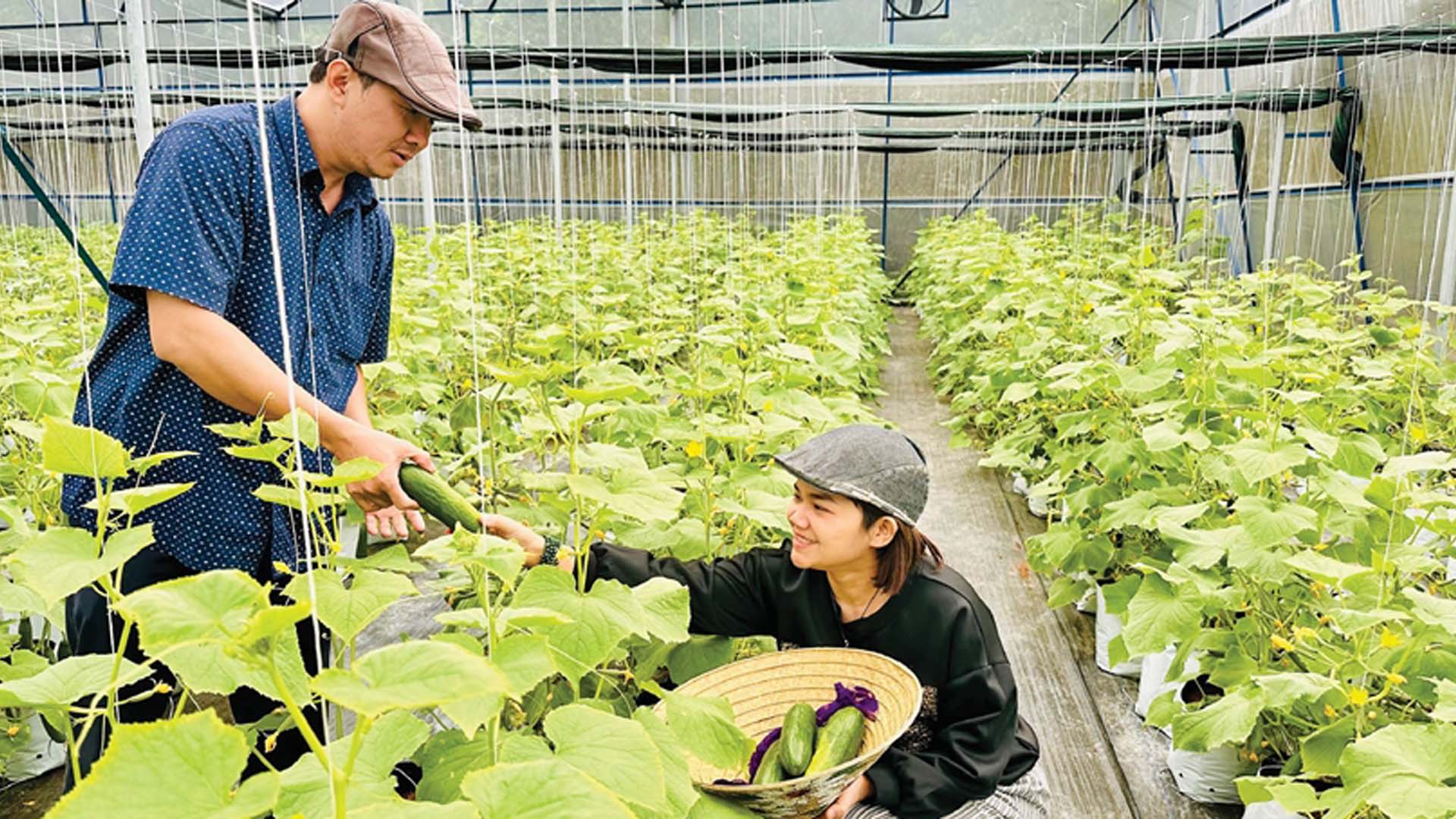 Thừa Thiên Huế: Làm nông khép kín - bền &amp; xanh