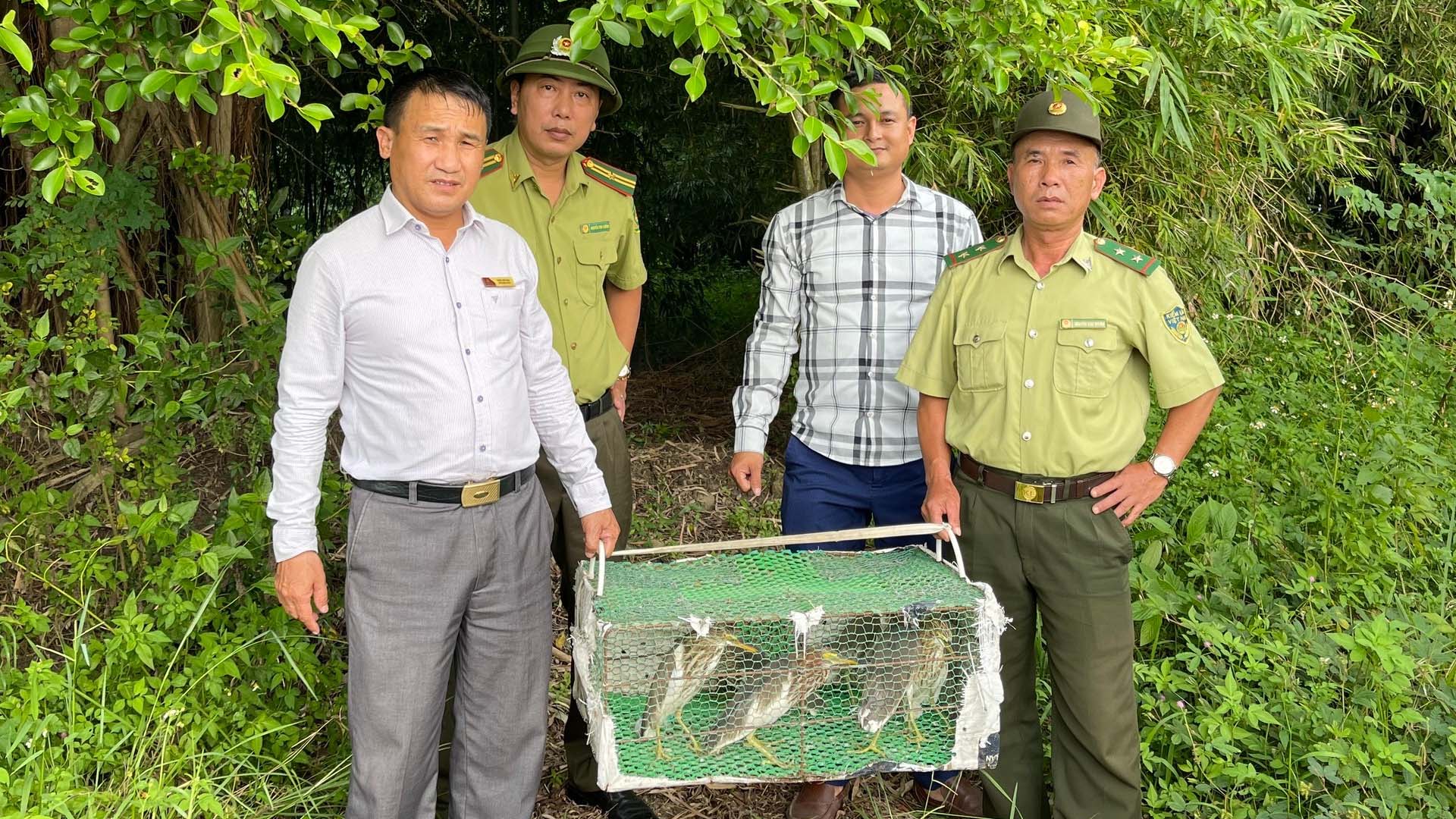 Hà Nam: Đẩy mạnh thực thi pháp luật, tuyên truyền, phổ biến công tác bảo tồn đa dạng sinh học và bảo vệ các loài hoang dã