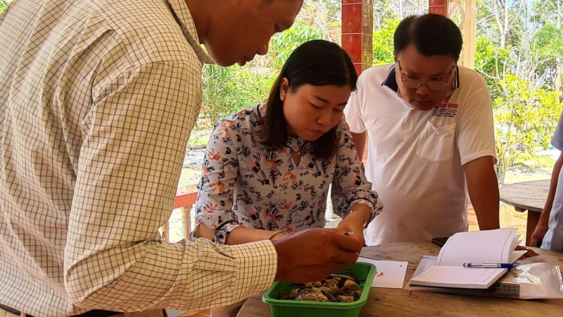 Cà Mau: Khảo sát và xử lý bệnh trên con cua tại xã Tân Tiến
