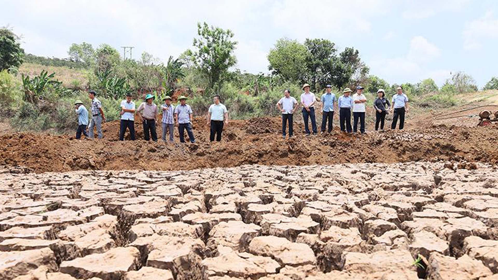 Đắk Lắk: Nguy cơ khô hạn trên diện rộng