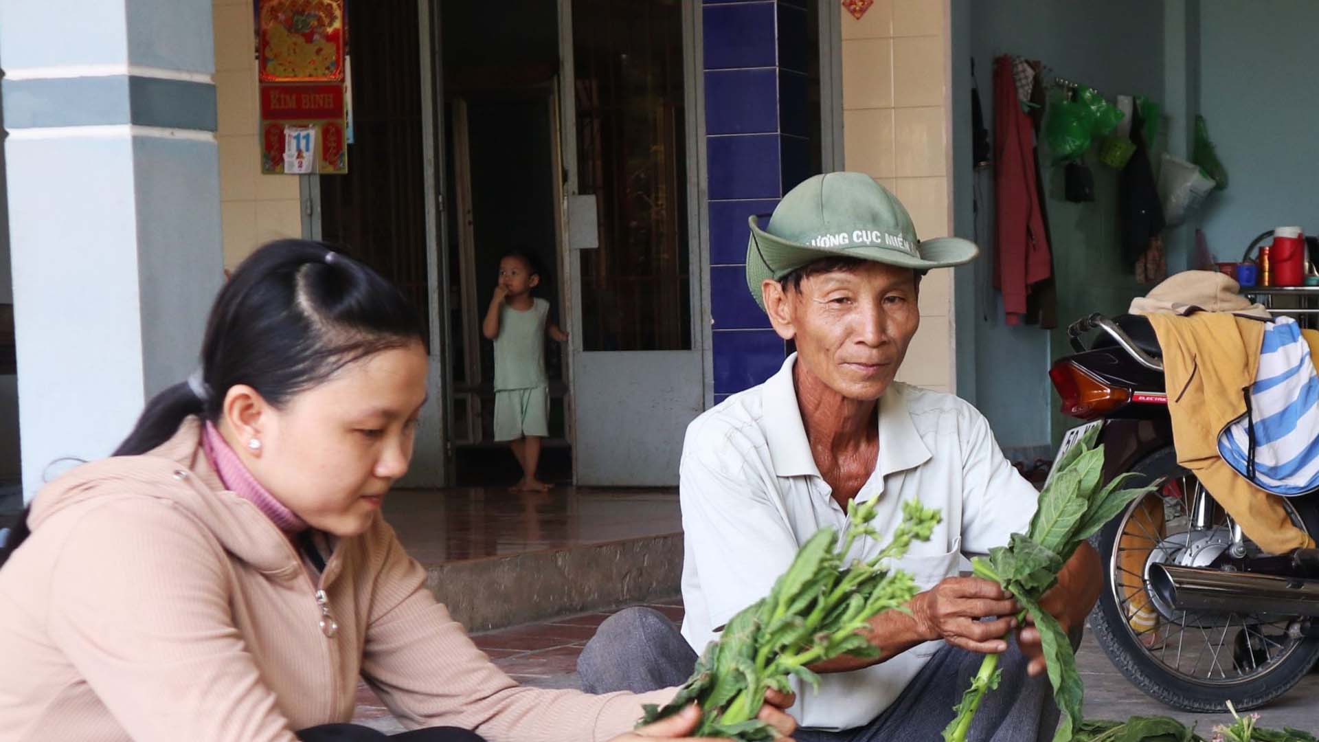 Tây Ninh: Nông dân phấn khởi khi thuốc lá trúng mùa, được giá