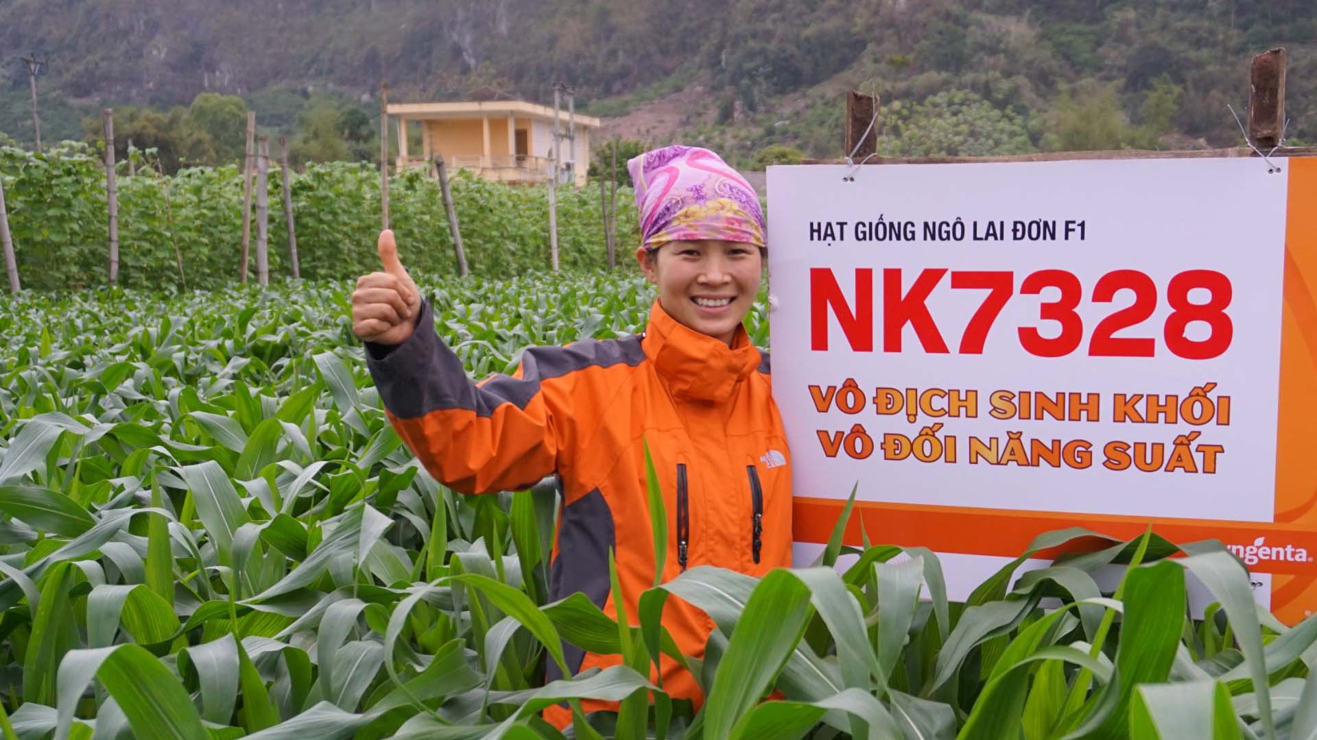 Quyết định công nhận chính thức giống cây trồng nông nghiệp mới NK7328