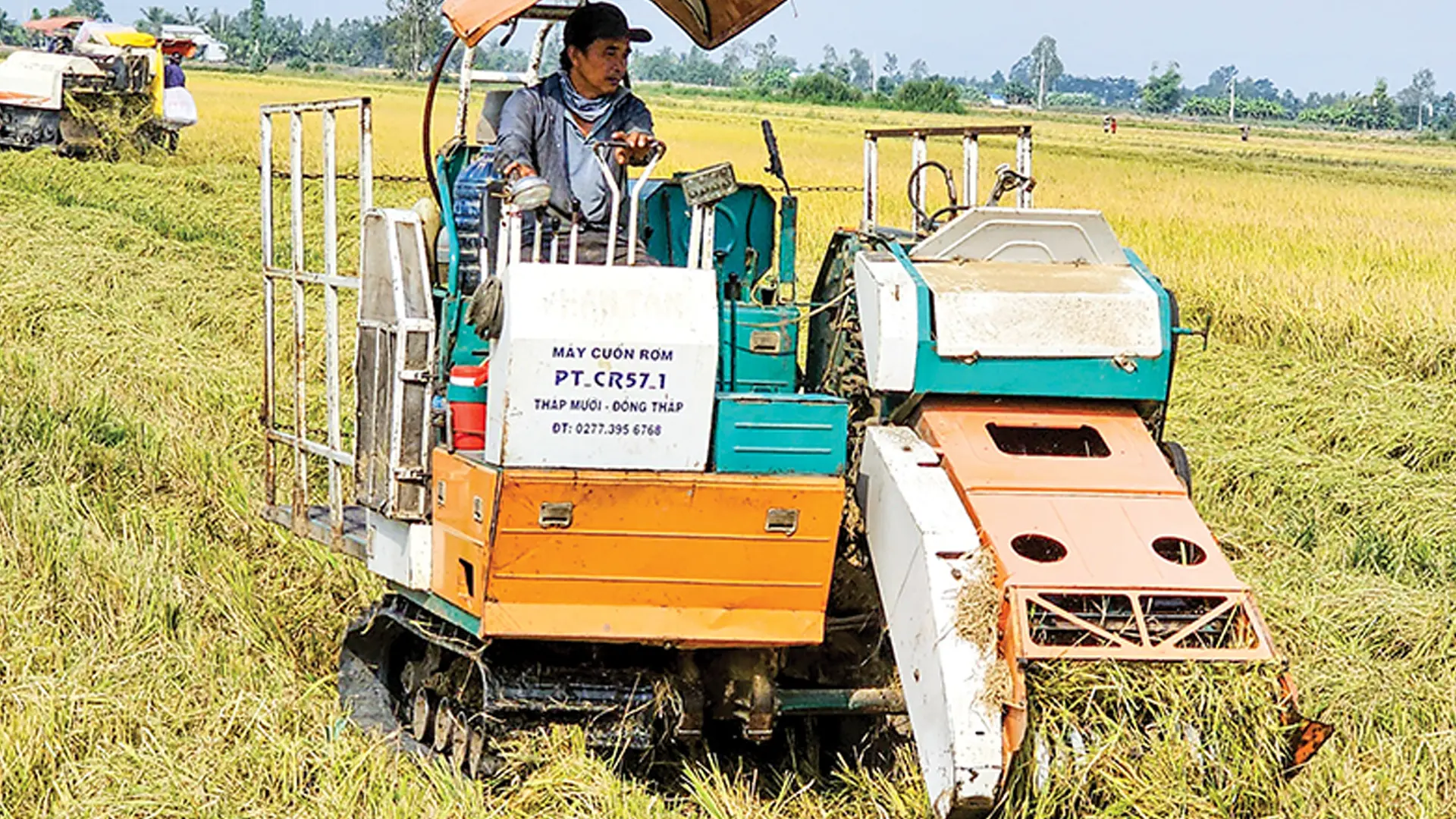 Thu gom rơm ra khỏi đồng ruộng bằng máy cuốn rơm tại mô hình canh tác lúa chất lượng cao và phát thải thấp ở huyện Cờ Đỏ, thành phố Cần Thơ trong vụ đông xuân 2024 - 2025.