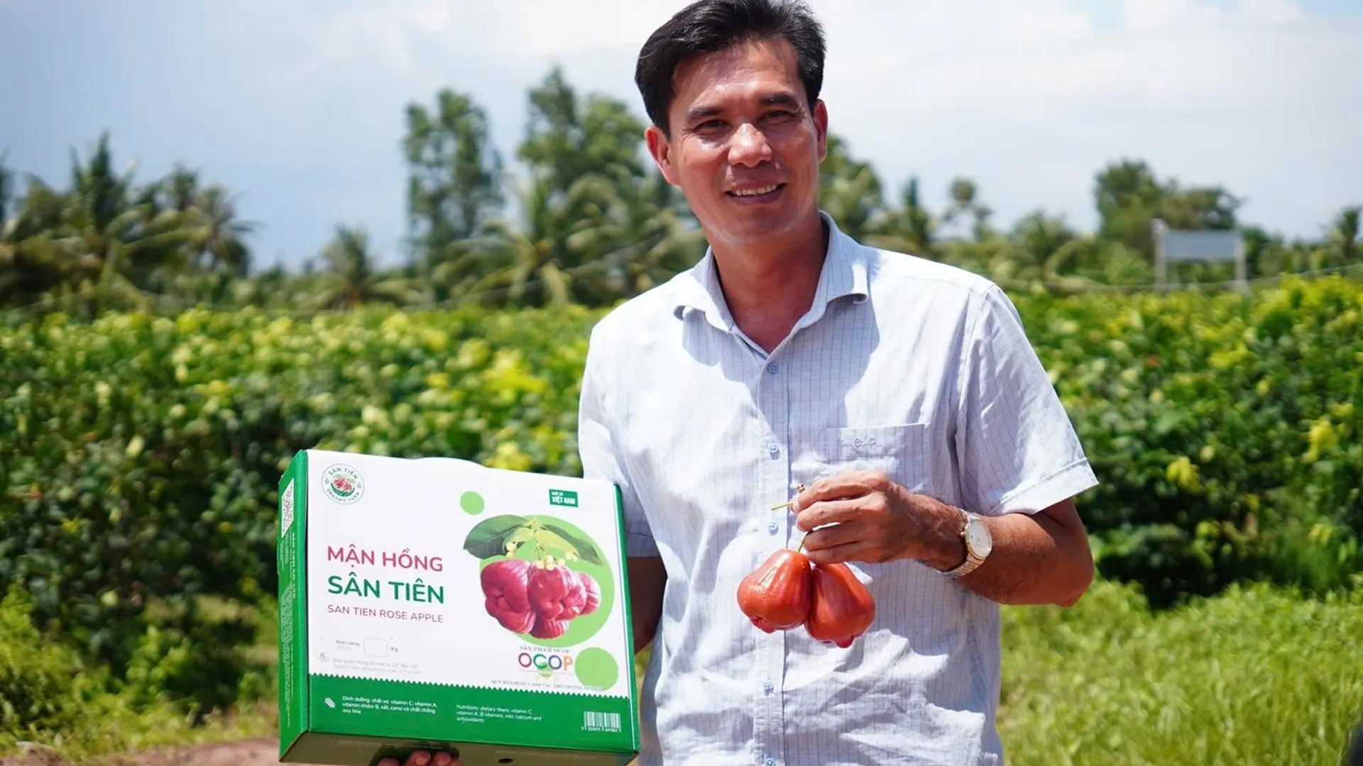 Ôông Trần Văn Phục và sản phẩm mận hồng Sân Tiên.