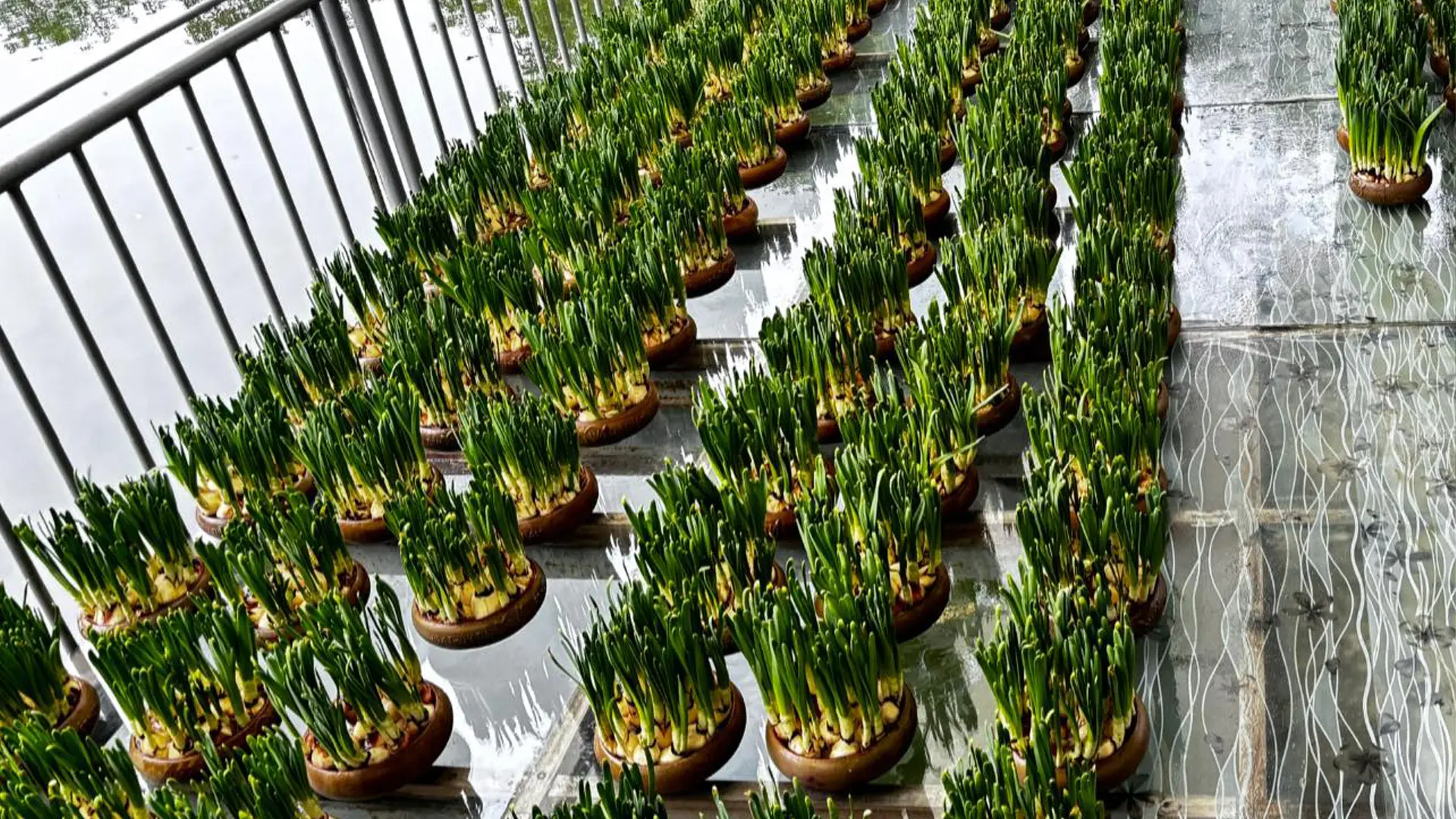 Thành tựu của anh Nguyễn Phúc Bính (Ảnh: Nguyễn Phúc Bính).