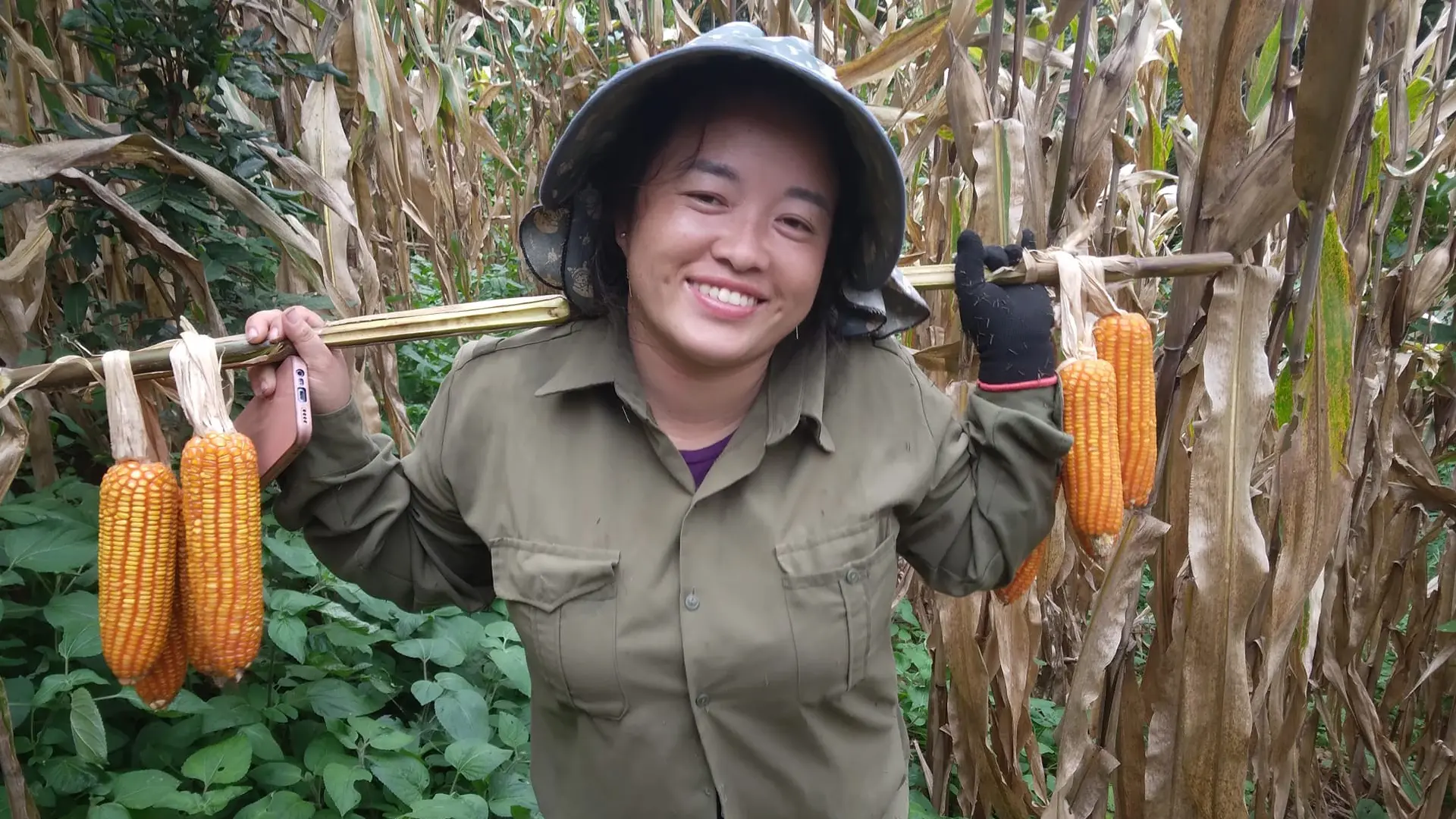 Nhiều nông dân được mùa với DK9979C.