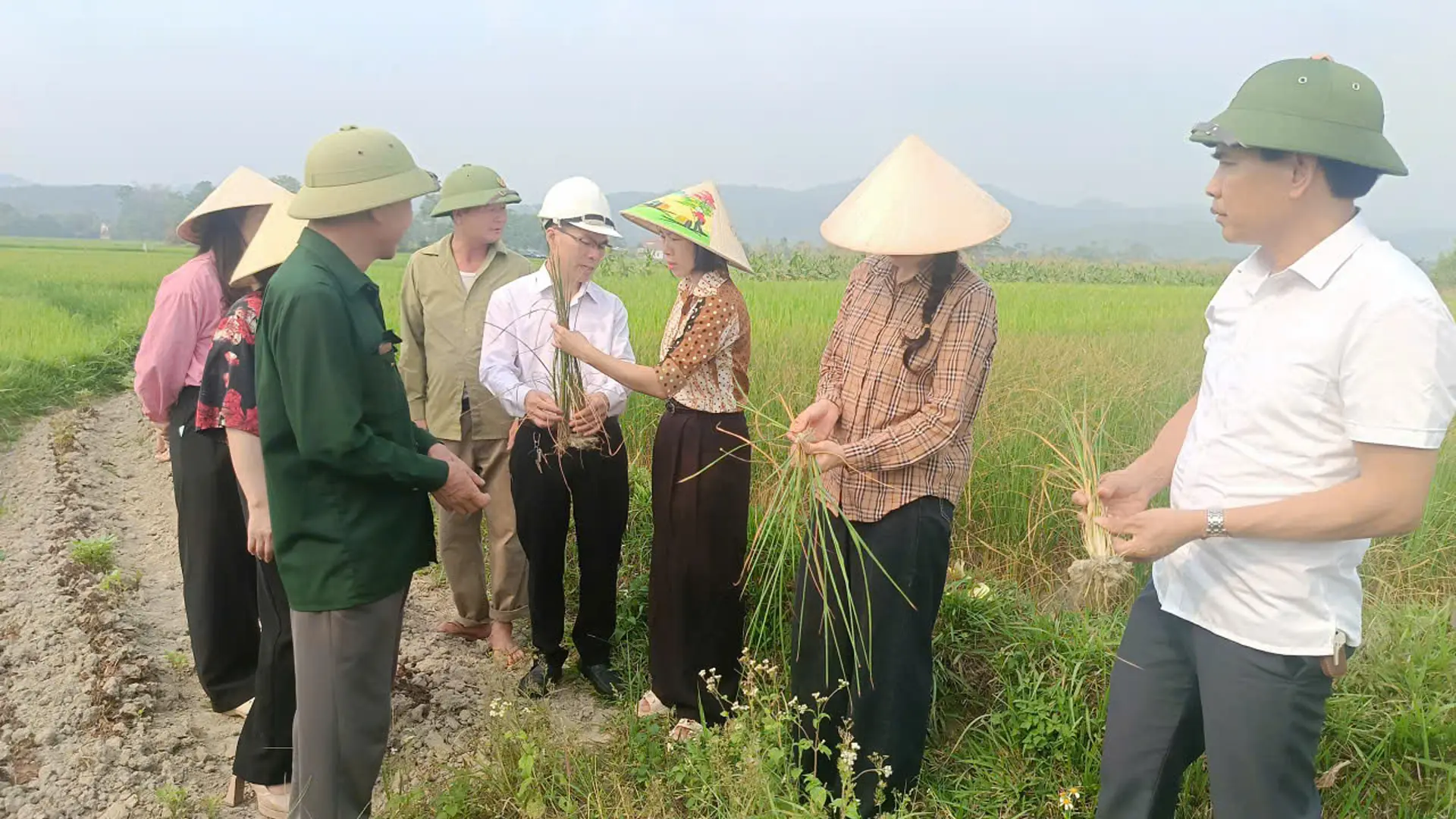 Đoàn kiểm tra thực tế tình hình sản xuất cây lúa vụ Xuân năm 2026.