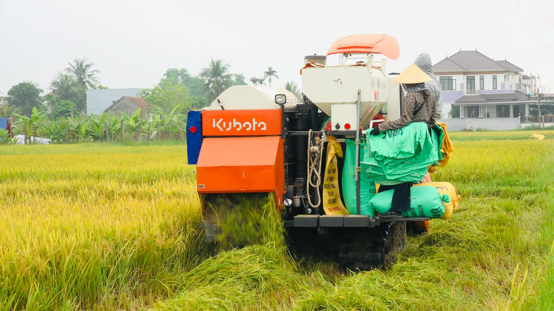 Phối hợp đồng bộ để đảm bảo sản xuất hiệu quả.