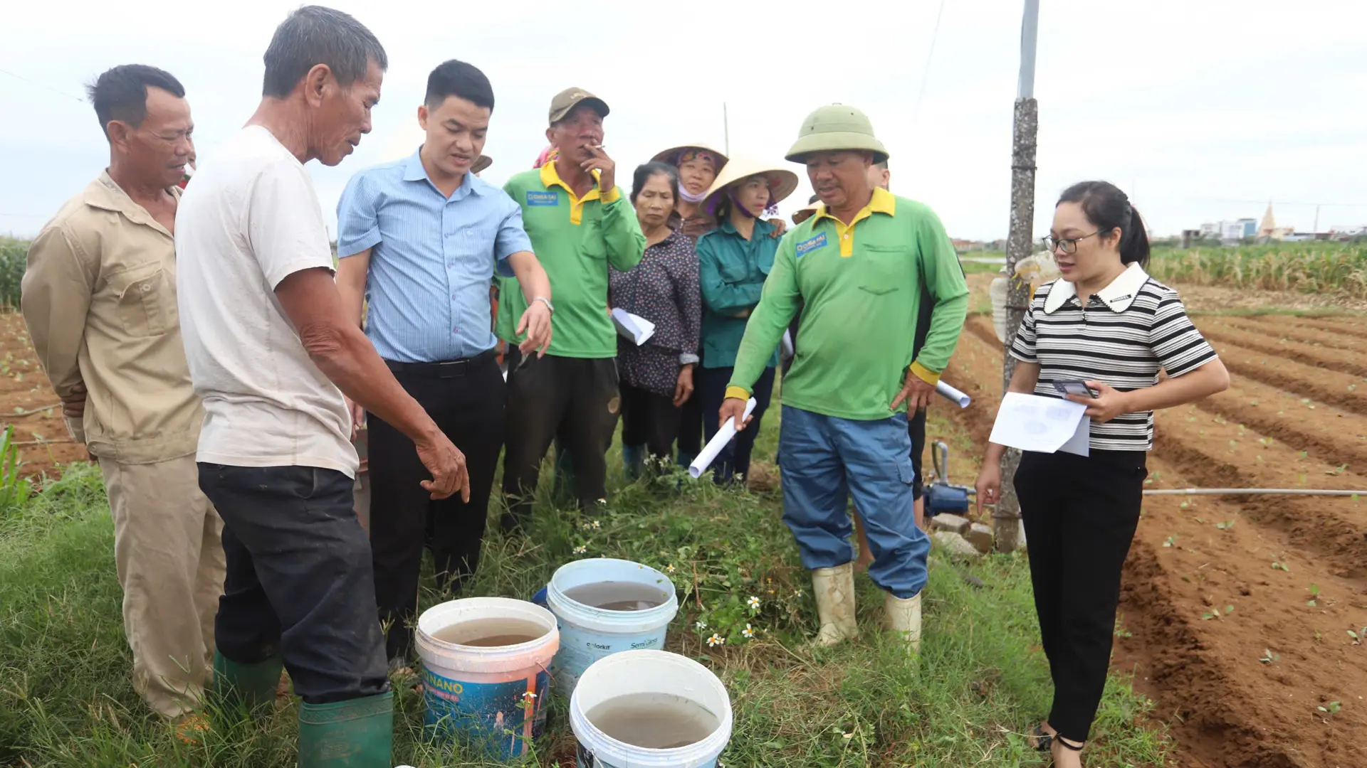Hướng dẫn sử dụng chế phẩm sinh học cho cây rau màu.