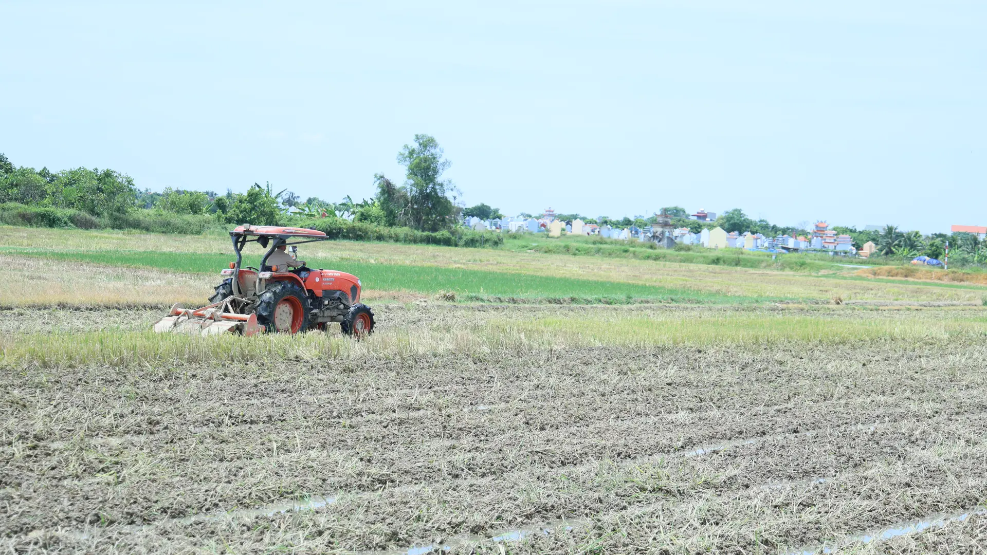 Chuẩn bị đất để sản xuất lúa vụ Mùa.