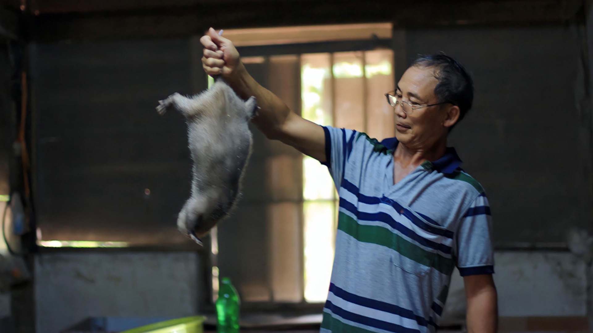 Lâm Đồng: Hiệu quả mô hình nuôi dúi sinh sản