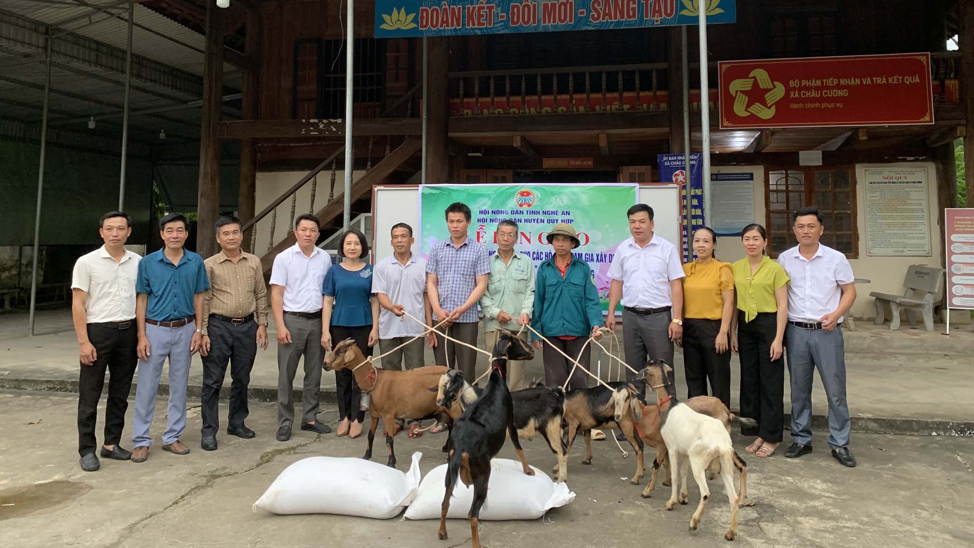 Nghệ An: Hội nông dân huyện Quỳ Hợp cấp giống dê sinh sản cho nông dân