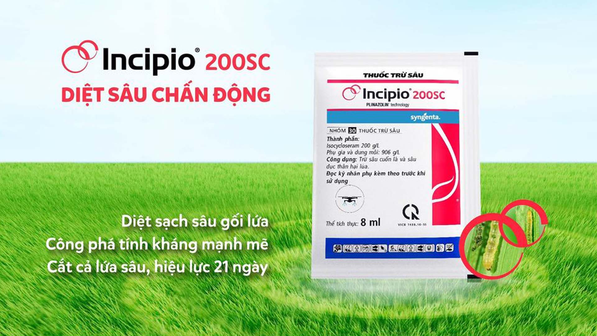 Thuốc trừ sâu cuốn lá lúa Incipio®️200SC -  Sản phẩm của Công ty TNHH Syngenta Việt Nam