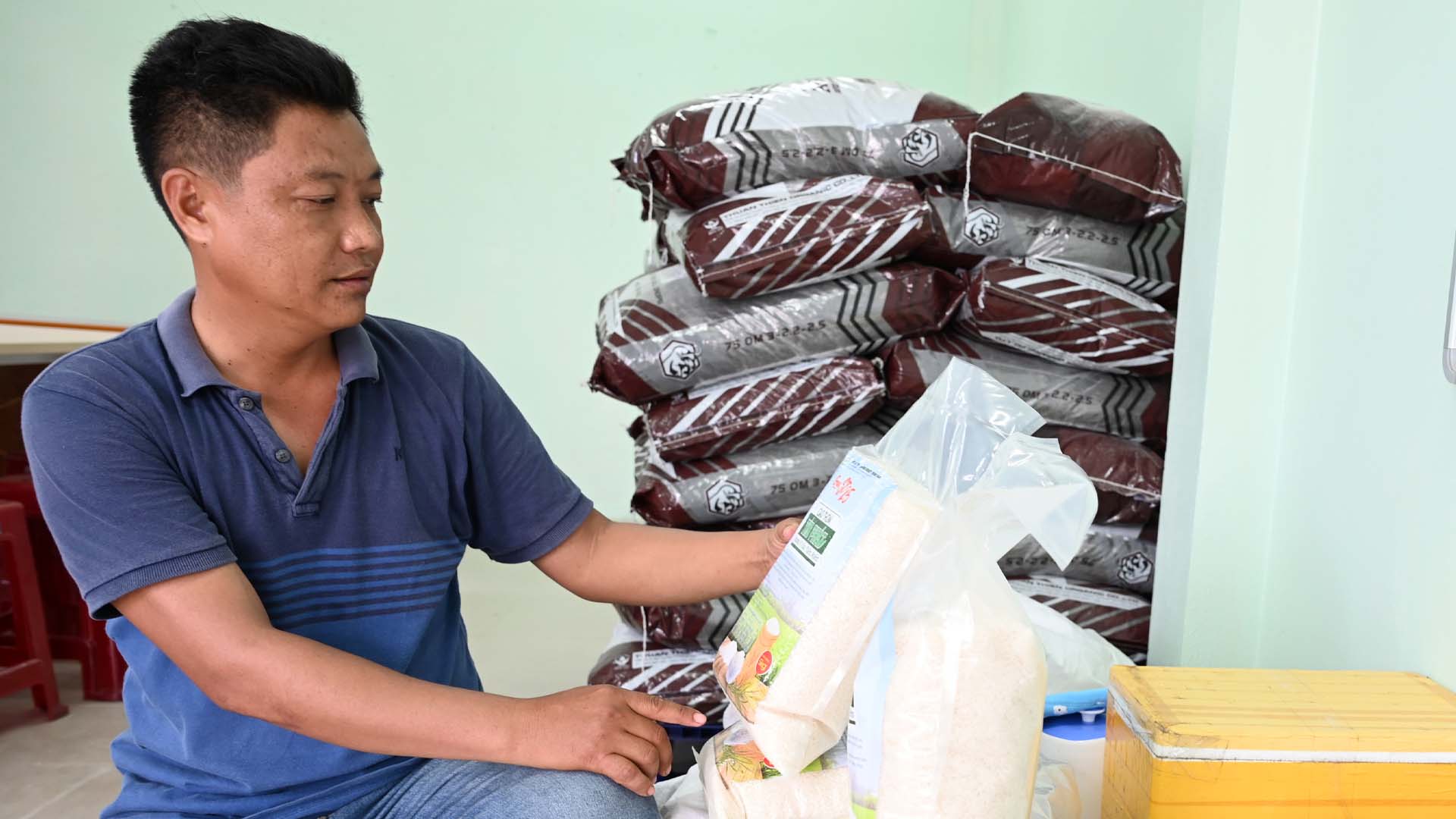 Long An: Trồng lúa hữu cơ, mang gạo sạch đến người tiêu dùng