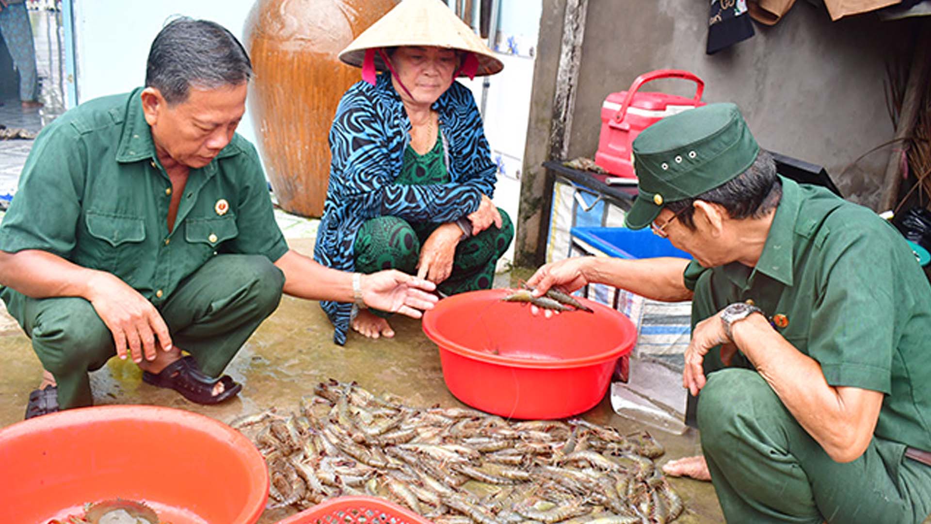 Kiên Giang: Lúa thơm, tôm sạch giúp nông dân khấm khá