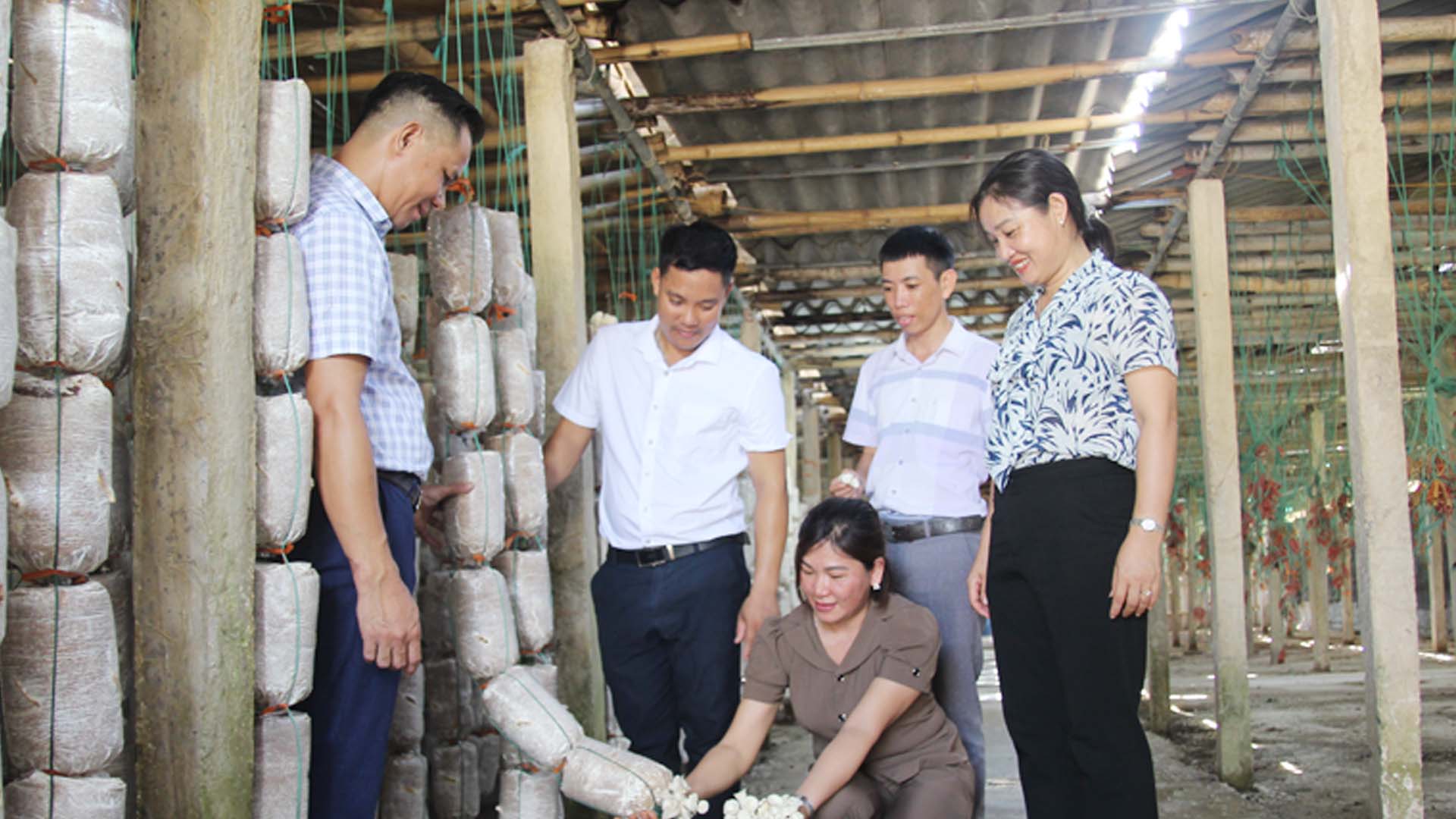 Nam Định: Những nông dân năng động làm giàu