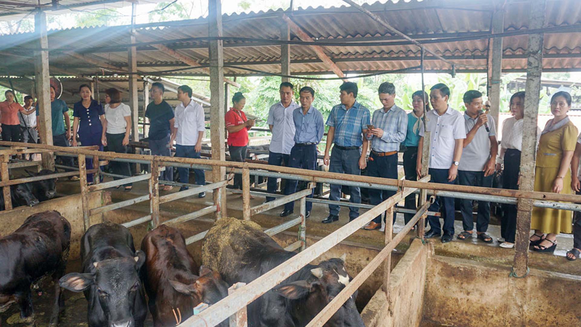 Thái Nguyên: Giải bài toán chất thải trong chăn nuôi