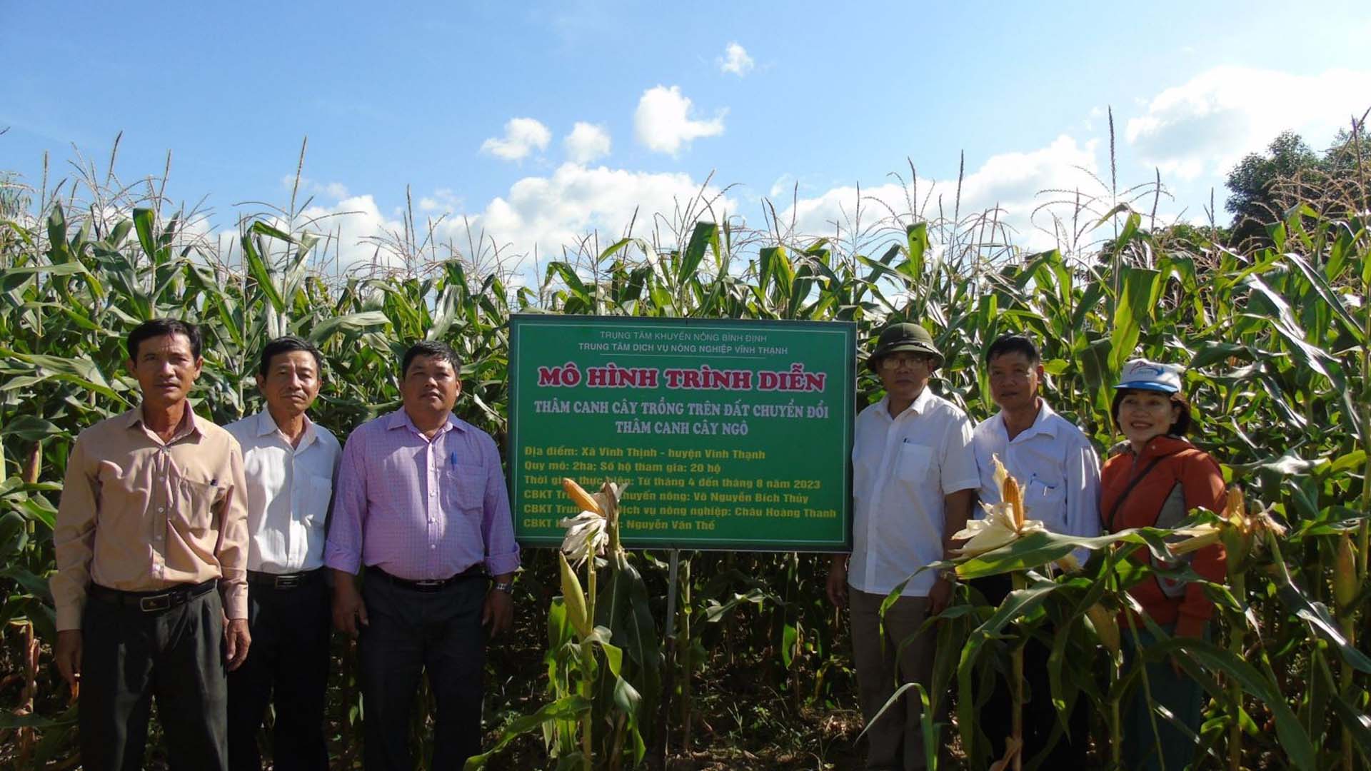 Bình Định: Thâm canh cây ngô trên đất chuyển đổi