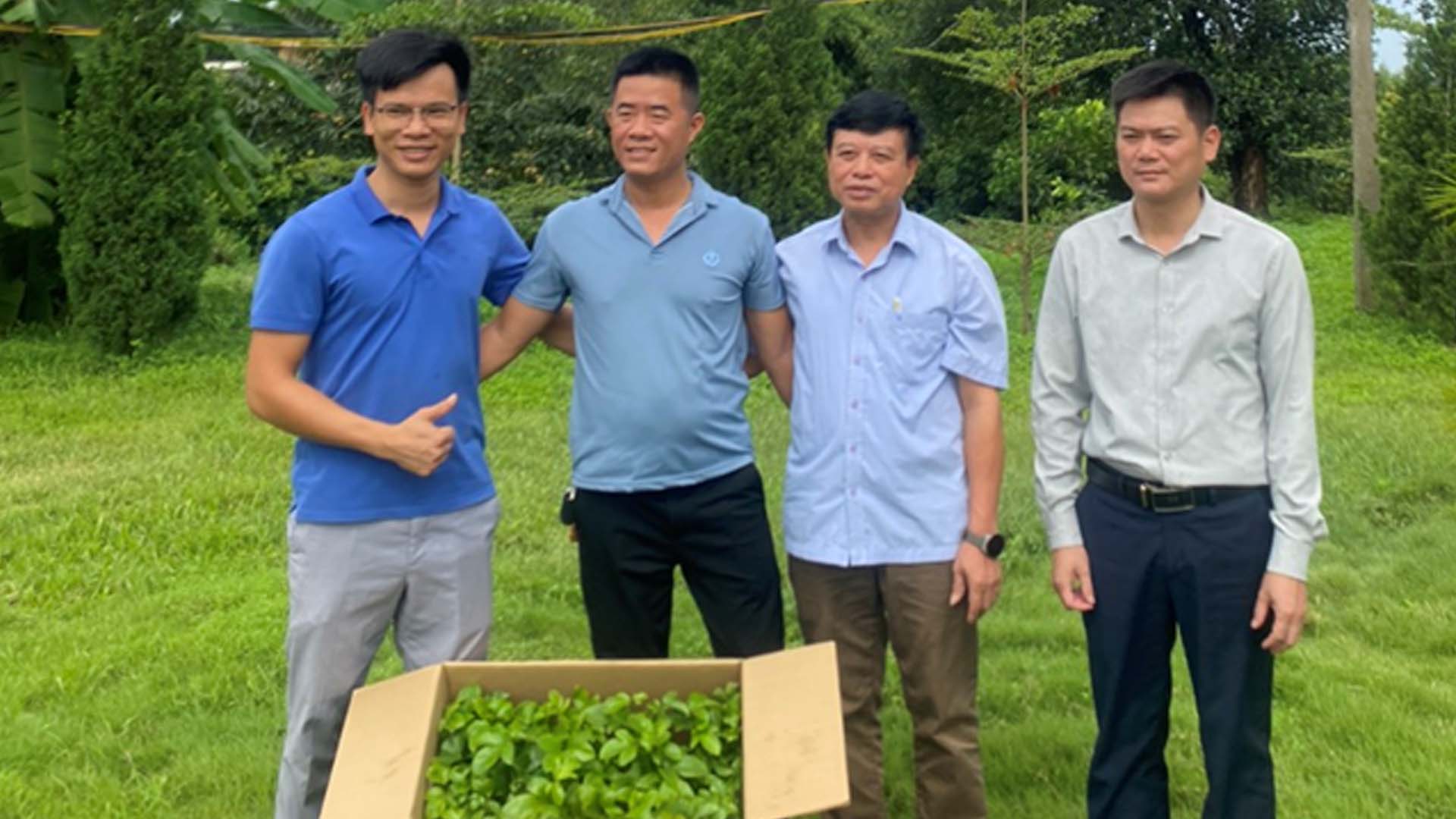 Bắc Giang: Lạng Giang thí điểm trồng cây chanh leo Đài Nông 1