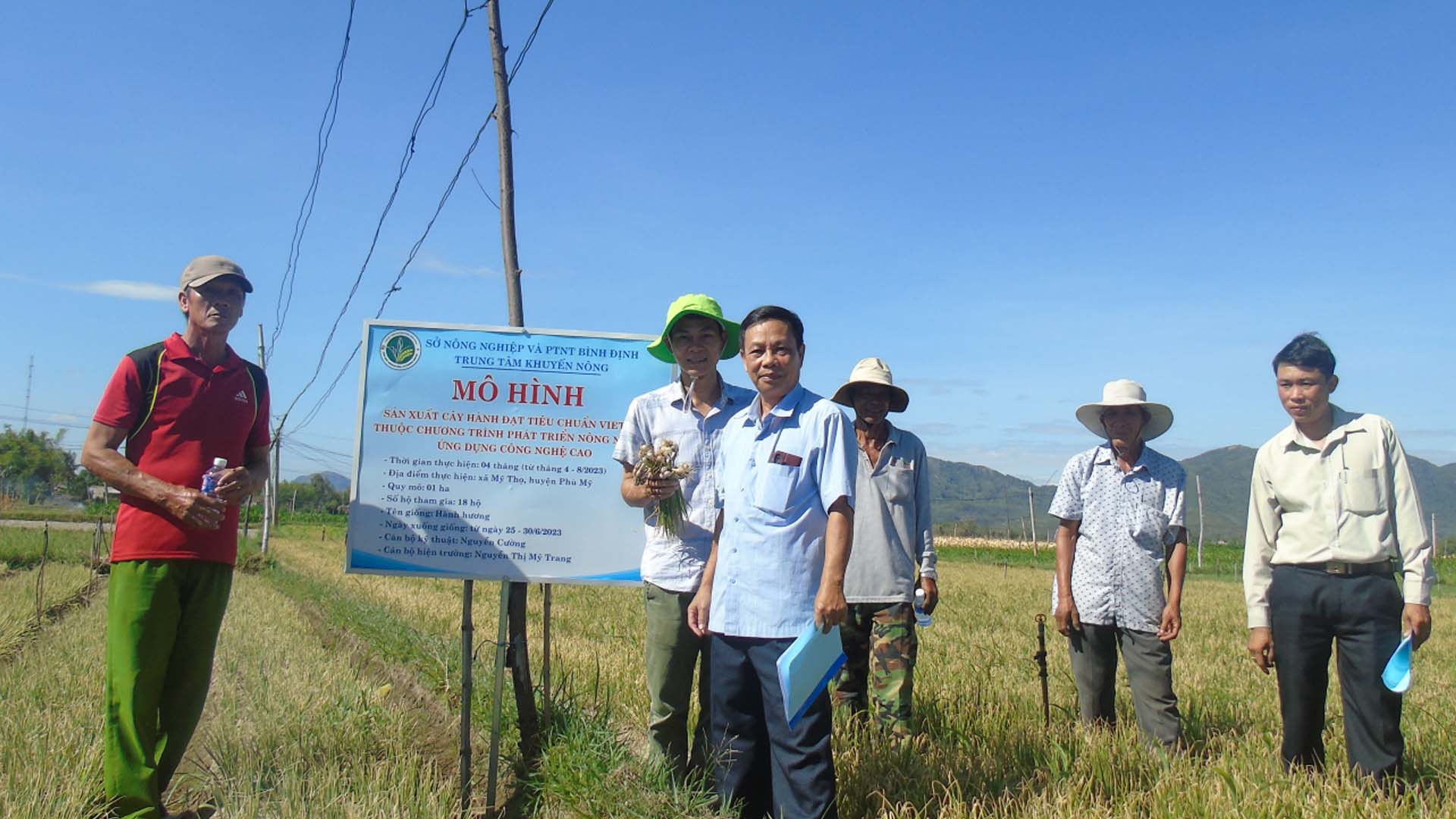 Bình Định: Sản xuất cây hành đạt chuẩn VietGAP