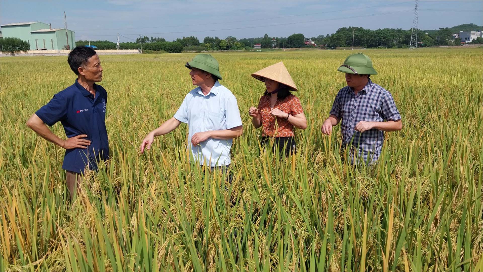 Bắc Giang: Người nông dân đam mê sáng chế máy nông nghiệp