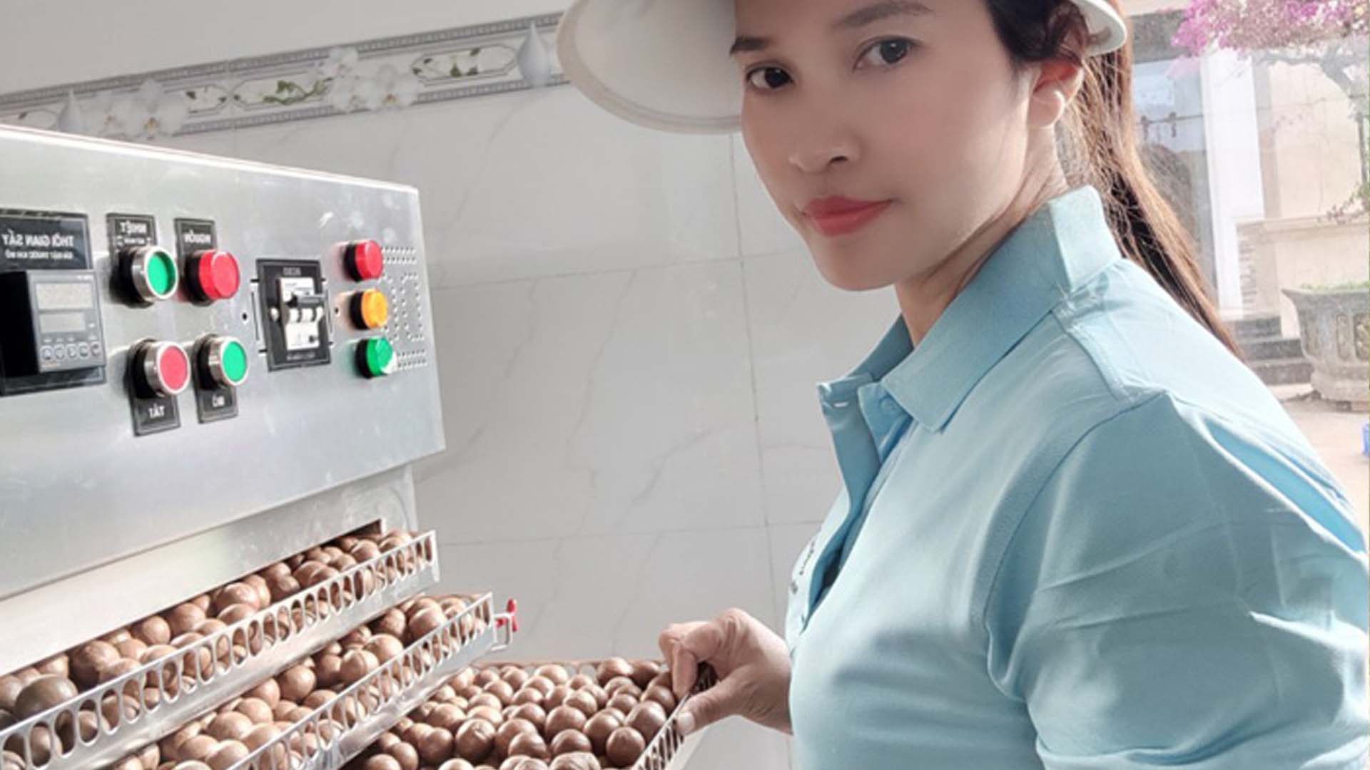 Lâm Đồng: Khi hạt mắc ca đạt chuẩn độ già