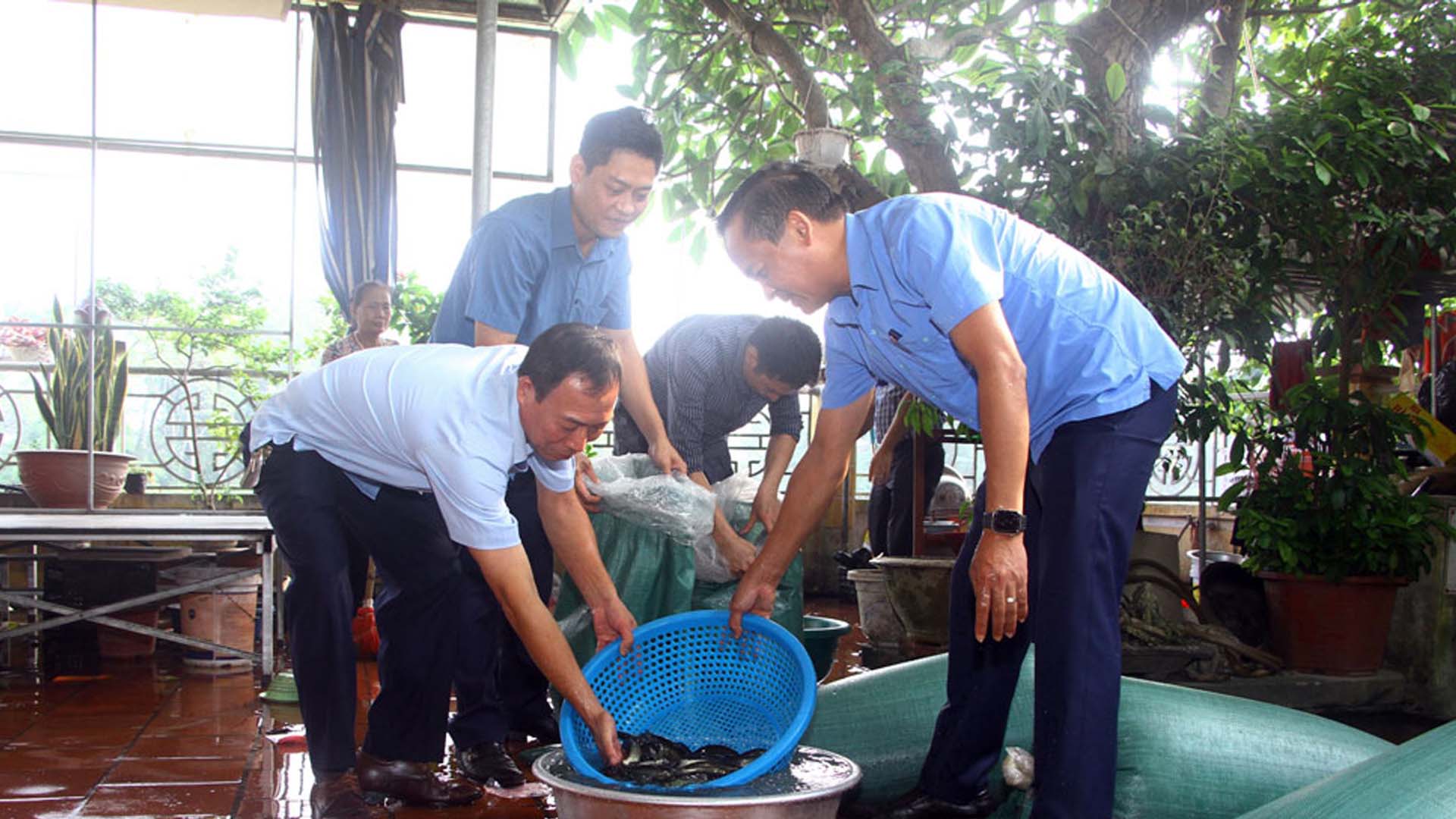 Thái Nguyên: Giá trị sản xuất thủy sản tăng 6,95%