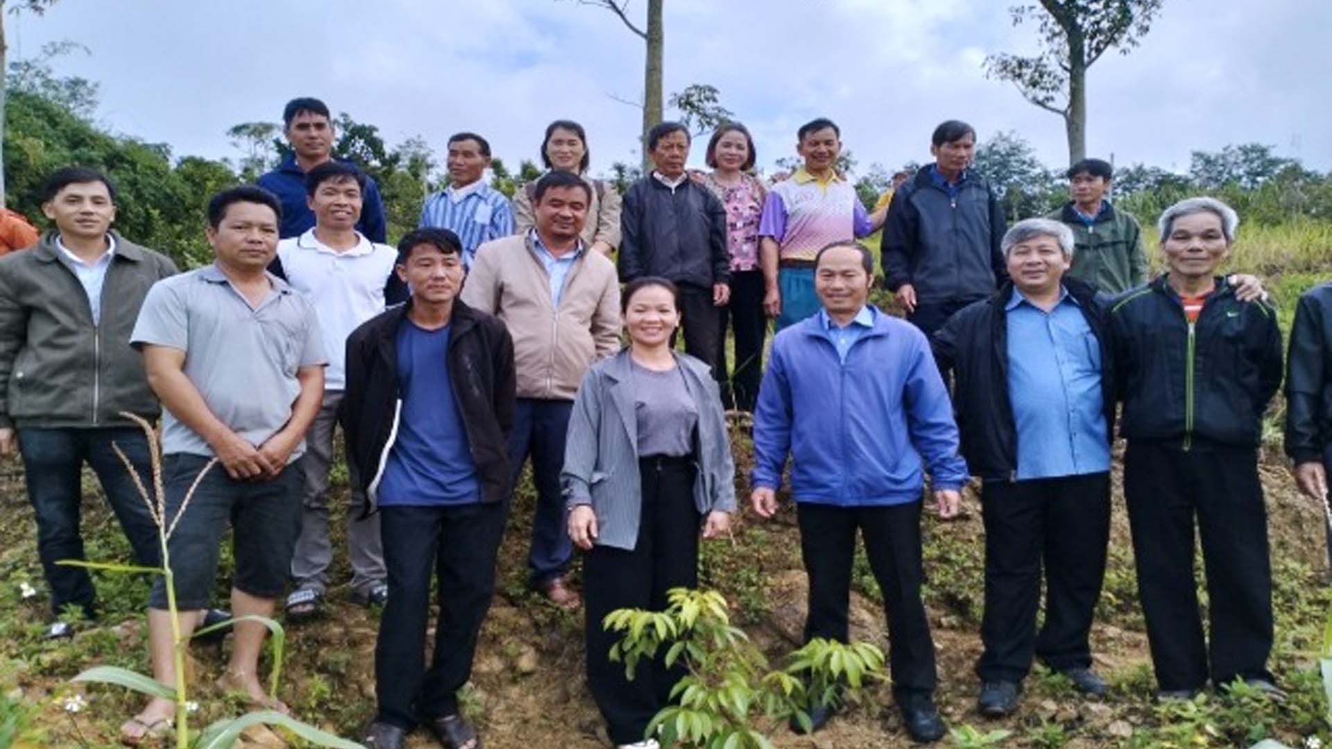 Đắk Lắk: Thâm canh vải để mở rộng vùng chuyên canh cây ăn quả