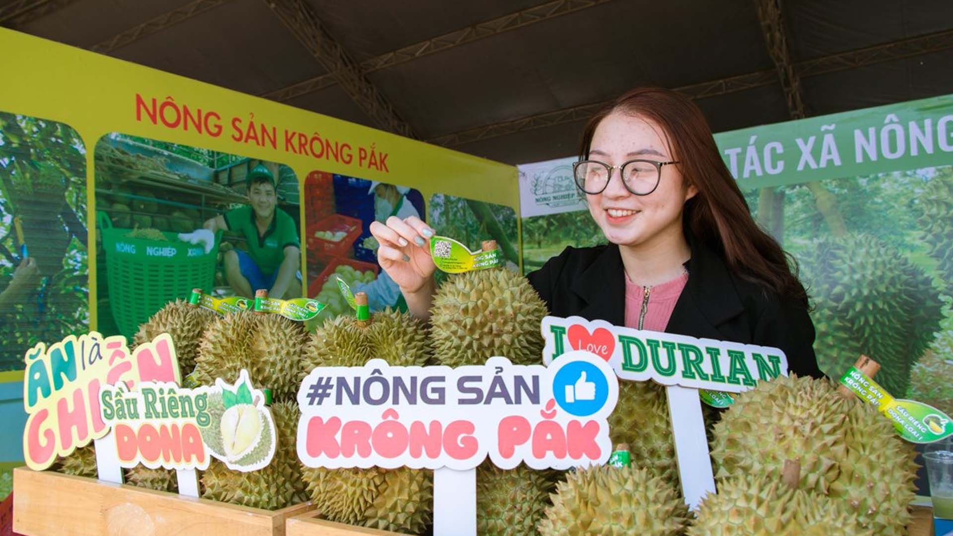 Đắk Lắk: Lễ hội sầu riêng huyện Krông Pắc lần thứ II năm 2024 sẽ tổ chức vào cuối tháng 8